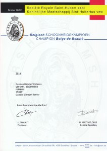 B-Titel-Urkunde