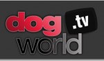 Dog World _TV