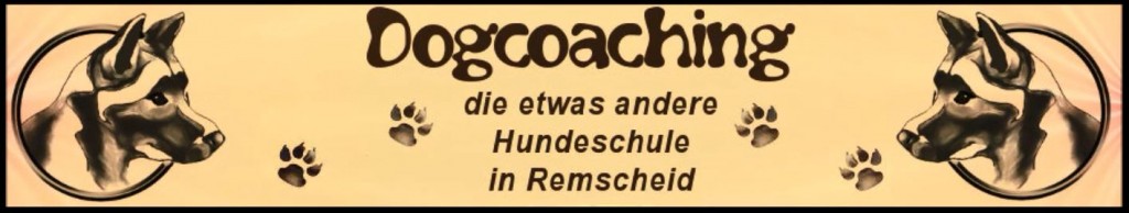 Dogcoaching bei Andreas Wirth