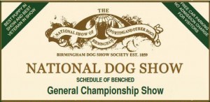 2016_National-Dog-Show, Stafford